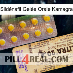 Sildénafil Gelée Orale Kamagra new06
